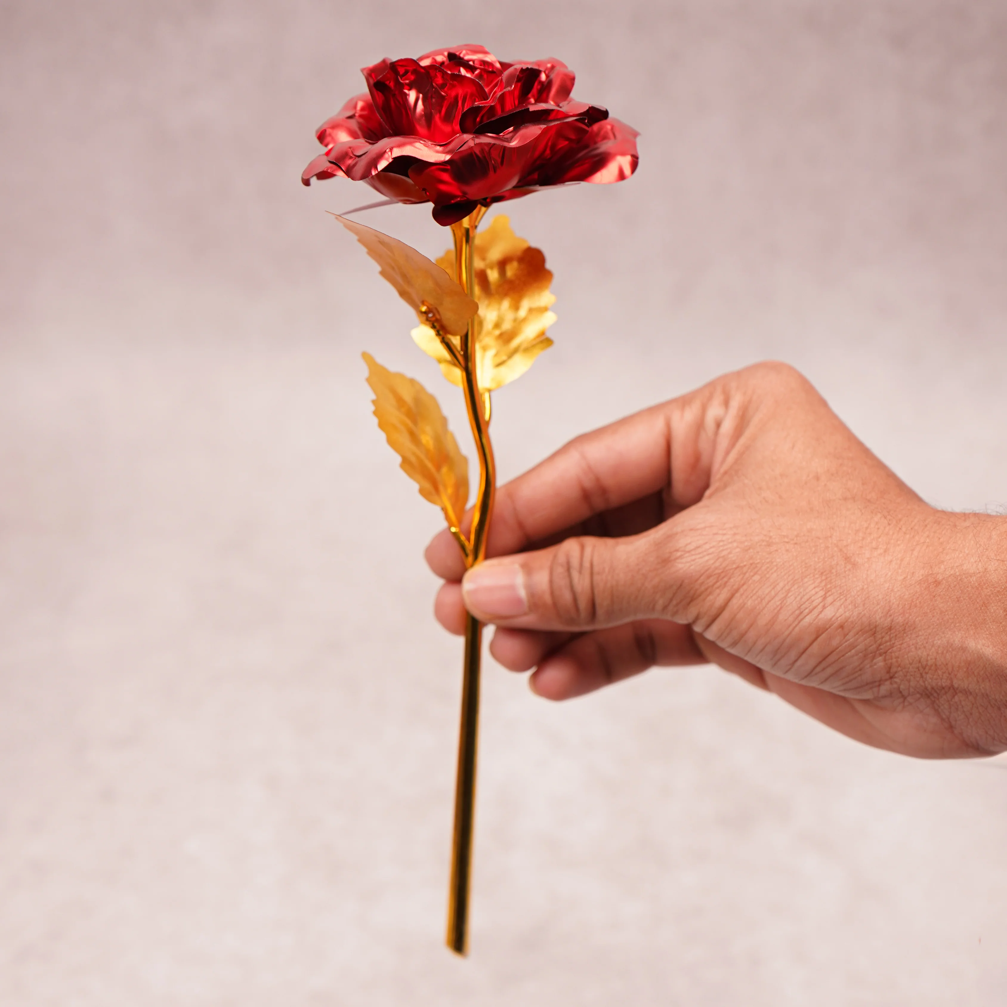 Valentine Rose